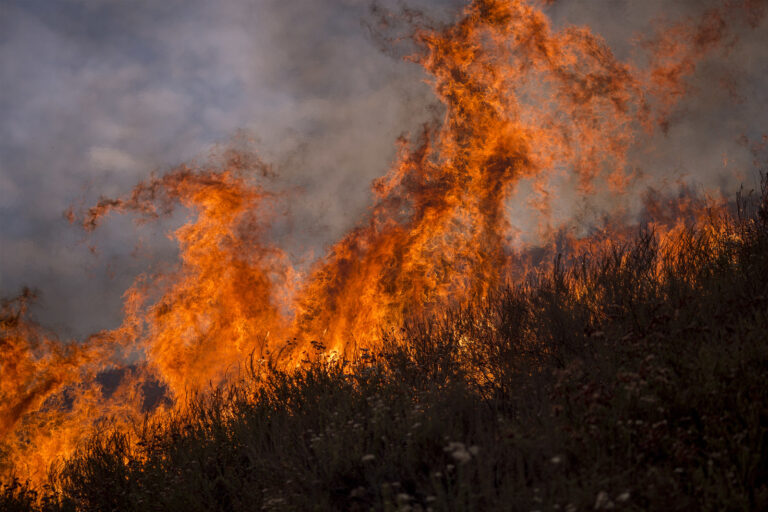 Wildfire Prevention Week